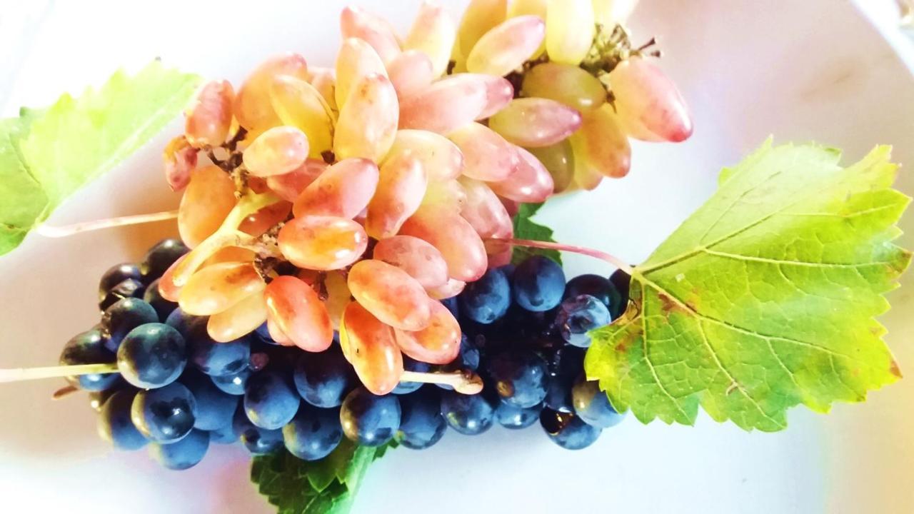 סן רפאל Chaglasian Wine & Suites מראה חיצוני תמונה