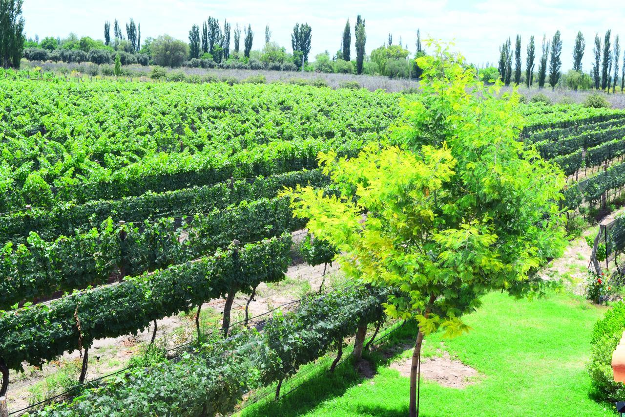 סן רפאל Chaglasian Wine & Suites מראה חיצוני תמונה